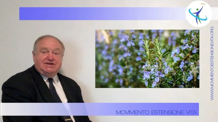 Molti abitanti di Acciaroli vivono fino a 100 anni: potrebbe essere il rosmarino ?